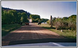 Livestock, FR076/Snake River Rd, Snake River, ID