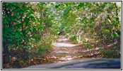 Backroad, Illinois