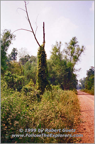 Sallie Circle Rd, Kentucky