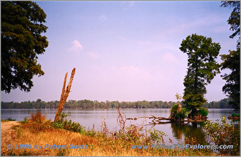 Swan Pond WMA