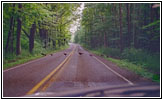 Turkeys on the backroad