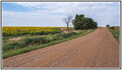 238th St, South Dakota