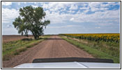 238th St, South Dakota