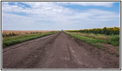239th St, South Dakota