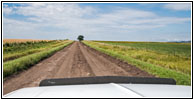 239th St, South Dakota