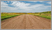 239th St, South Dakota