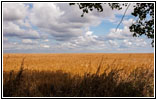 247th St, South Dakota