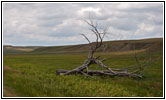 CR S6, South Dakota