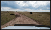 Backroad, South Dakota