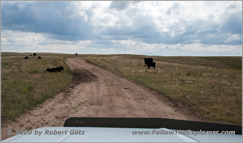 Backroad, South Dakota
