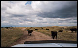 Backroad, South Dakota