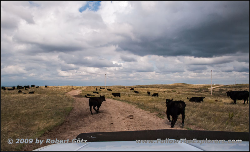 Backroad, South Dakota