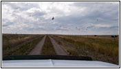 256th St, South Dakota