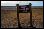 Roberts Prairie Dog Town, Badlands National Park, South Dakota