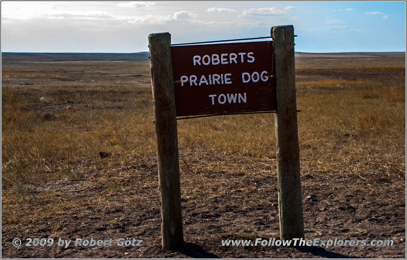 Roberts Prairie Dog Town, Badlands National Park, South Dakota
