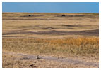 Roberts Prairie Dog Town, Badlands National Park, South Dakota