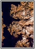 Wind Cave, South Dakota Wind Cave, South Dakota