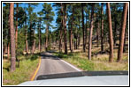 Highway 16A/Iron Mountain Rd, SD Highway 16A/Iron Mountain Rd, SD
