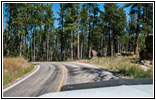 Highway 16A/Iron Mountain Rd, SD Highway 16A/Iron Mountain Rd, SD