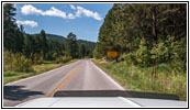 Highway 87/The Needles Hwy, South Dakota