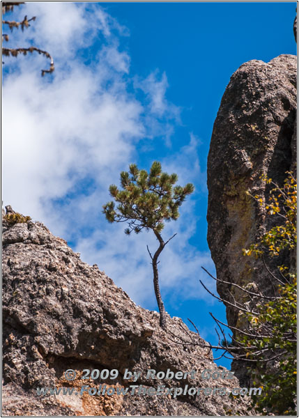 Cathedral Spires Trail, Custer State Park, South Dakota