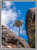 Cathedral Spires Trail, Custer State Park, South Dakota