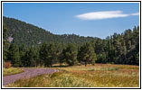 Highway 87/The Needles Hwy, South Dakota