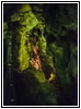 Jewel Cave, South Dakota