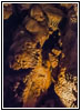 Jewel Cave, South Dakota