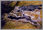 Jewel Cave, South Dakota