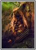 Jewel Cave, South Dakota