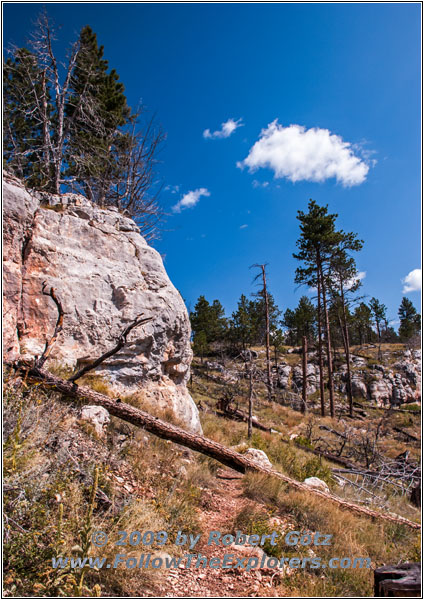 Hell Canyon Trail, South Dakota