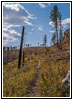 Hell Canyon Trail, South Dakota