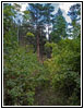Hell Canyon Trail, South Dakota