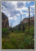 Hell Canyon Trail, South Dakota