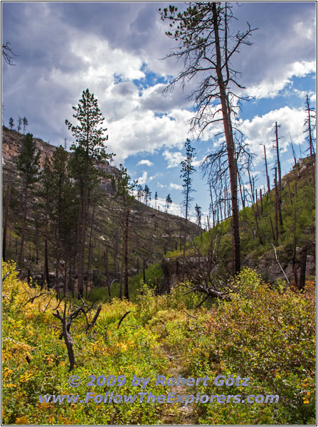 Hell Canyon Trail, South Dakota