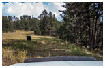 Kuh, FR282 1C, Hell Canyon, South Dakota