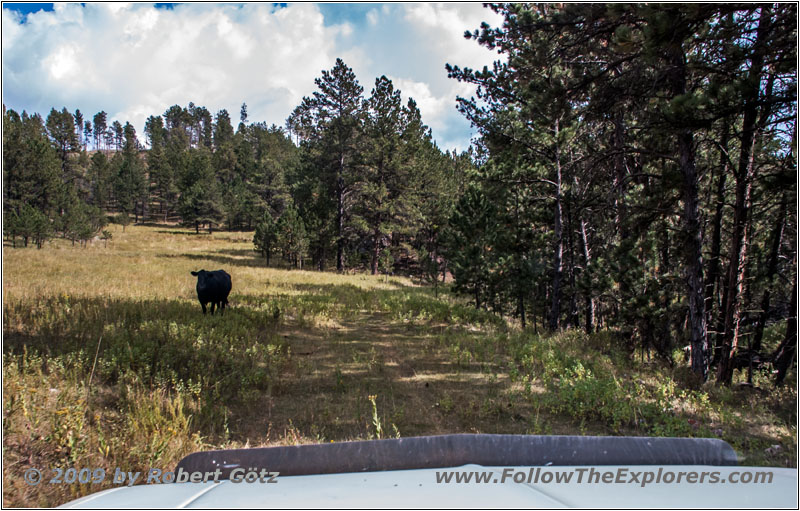 Kuh, FR282 1C, Hell Canyon, South Dakota
