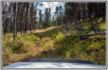 FR282 1C, Hell Canyon, South Dakota