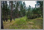 FR282 1C, Hell Canyon, South Dakota