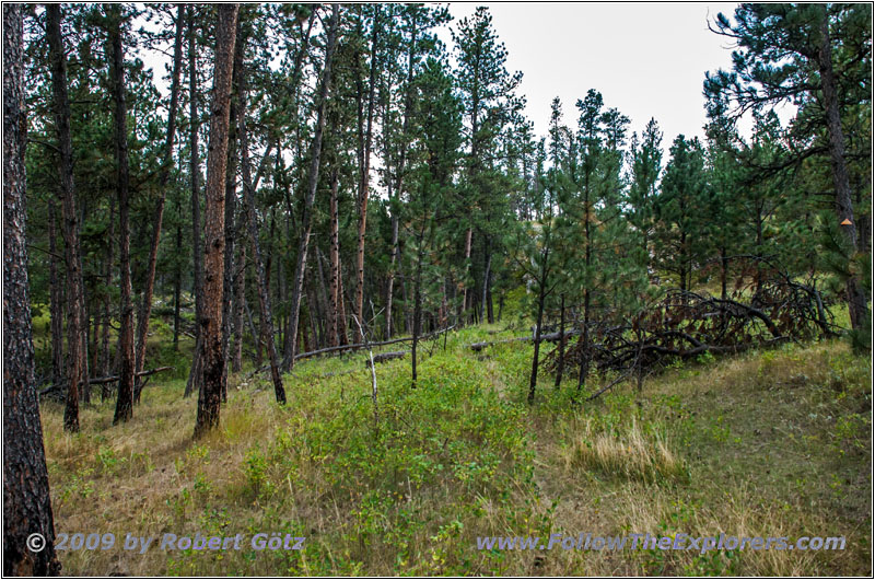 FR282 1C, Hell Canyon, South Dakota