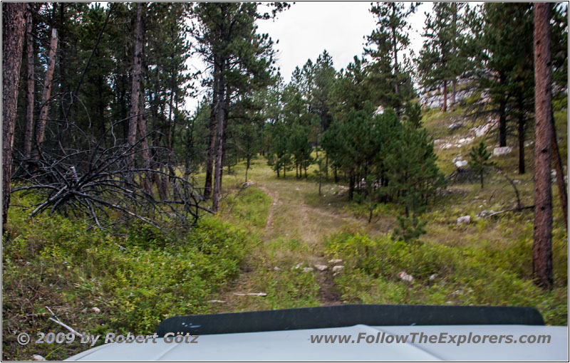 FR282 1C, Hell Canyon, South Dakota