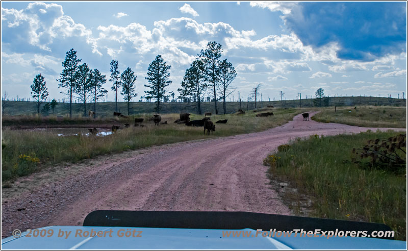 FR283/Antelope Ridge Rd, South Dakota
