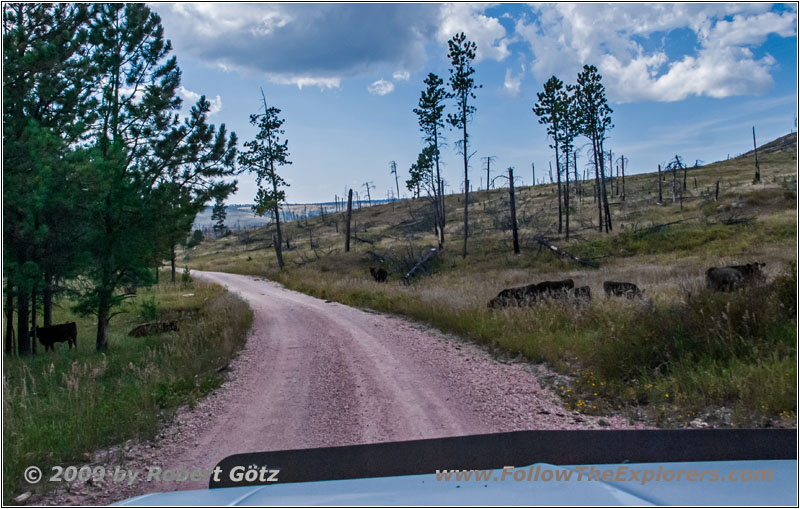 FR283/Antelope Ridge Rd, South Dakota