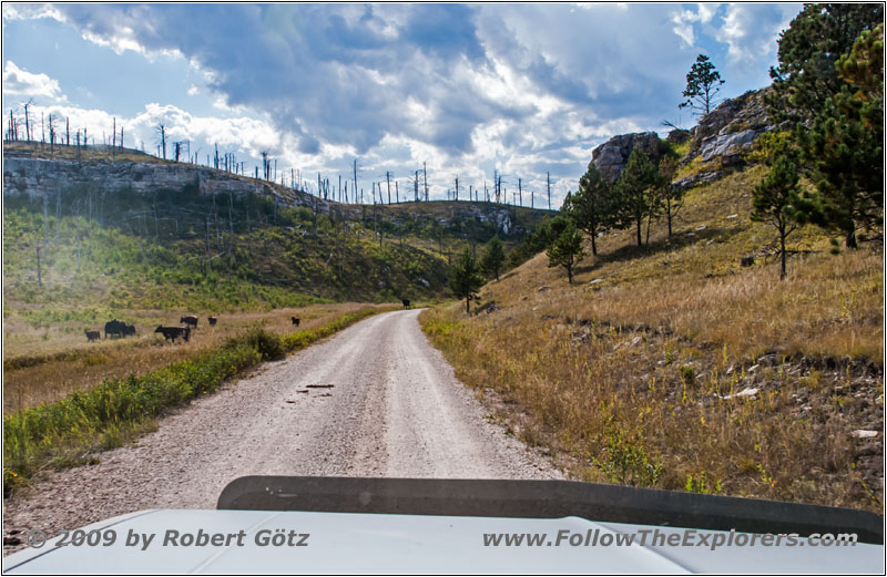 Vieh, FR283/Antelope Ridge Rd, South Dakota