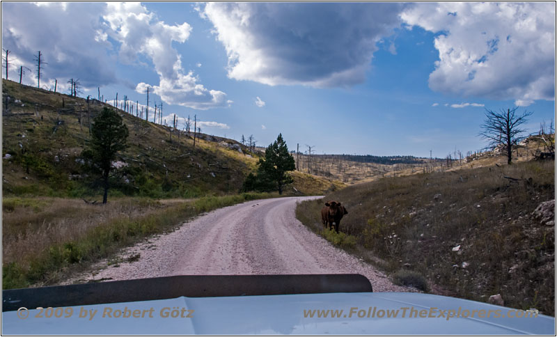 Vieh, FR283/Antelope Ridge Rd, South Dakota