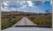 Vieh, FR283/Antelope Ridge Rd, South Dakota