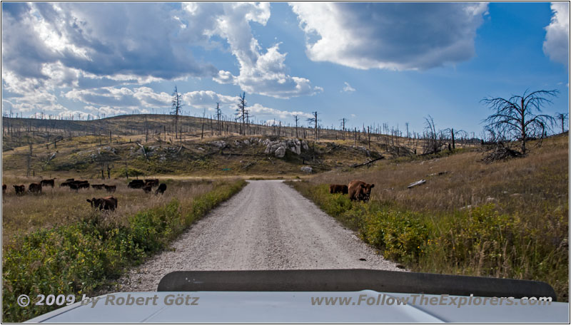 Vieh, FR283/Antelope Ridge Rd, South Dakota