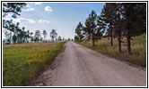 FR284/Custer Limestone Rd, South Dakota