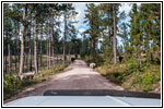 FR284/Custer Limestone Rd, South Dakota